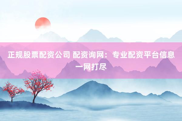 正规股票配资公司 配资询网：专业配资平台信息一网打尽